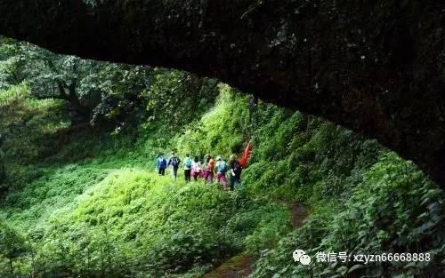 玩具战斗机大战