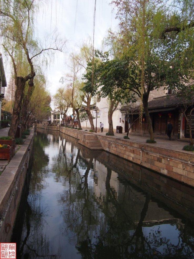 洞庭月历丨水鸟:“湖水清澈,倒映着我”